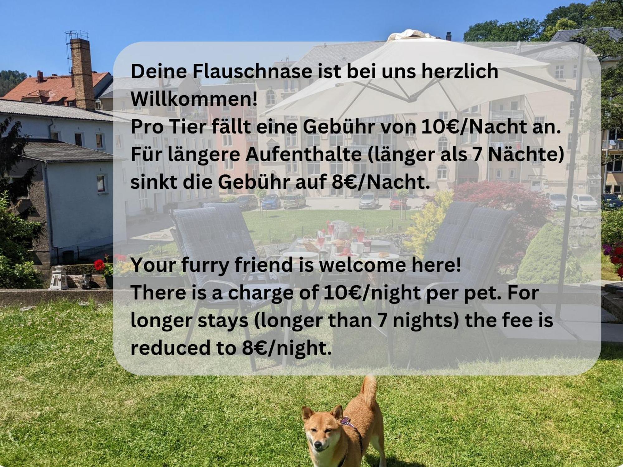 Hw2B - Urlaubsmagie - Wohlfuehlwohnung Mit Balkon, Pool, Sauna & Terrasse ゼーブニッツ エクステリア 写真